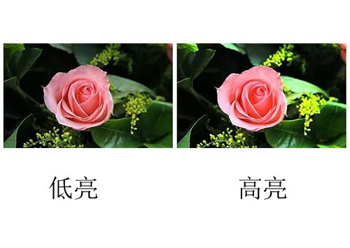 91视频APP网站國際lcd拚接屏多少錢？